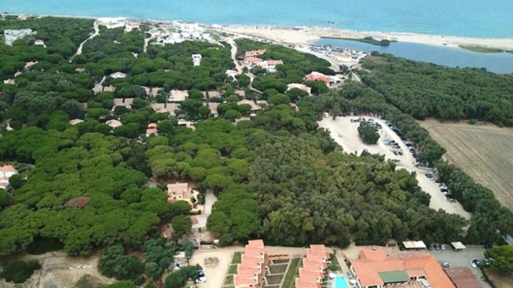 Vista aerea di una zona costiera con fitti alberi verdi, edifici e una spiaggia sabbiosa affacciata sull'acqua azzurra, immortalata in uno straordinario stile bozza automatica.