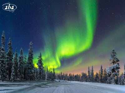 Una strada innevata si snoda attraverso una foresta della Lapponia, sotto un cielo notturno illuminato dal verde dell'aurora boreale.