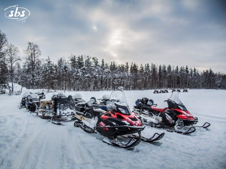 Diverse motoslitte con slitte sono parcheggiate su un campo innevato circondato da alberi innevati sotto un cielo nuvoloso della Lapponia, pronte per un tour indimenticabile.