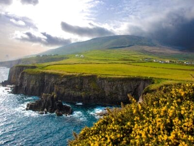 Scogliere verdi che si affacciano sull'oceano con affioramenti rocciosi, case in lontananza e fiori selvatici gialli in primo piano sotto un cielo nuvoloso.