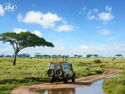 Un veicolo da safari percorre una strada sterrata attraverso pianure erbose con alberi sparsi, sotto un cielo azzurro e nuvole.