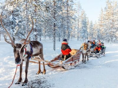 Un gruppo di persone viaggia su slitte di legno trainate da renne attraverso una foresta innevata in una soleggiata giornata invernale.