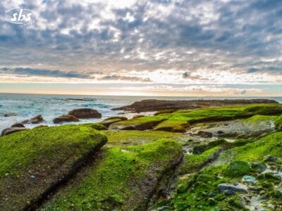 Costa rocciosa ricoperta di muschio verde brillante, con le onde dell'oceano e un cielo nuvoloso al tramonto sullo sfondo.