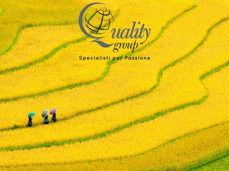 Tre persone con ombrelli camminano tra vivaci terrazze di riso giallo, con il logo del "Quality Group" sopra di loro, a sottolineare lo spirito di scoperta che si ritrova in ogni Gran Tour del Vietnam.