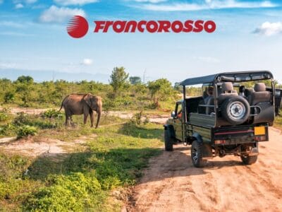 Una jeep da safari si avvicina a un elefante in un paesaggio erboso, con il logo Francorosso sopra: una scena iconica di un'avventura del Gran Tour della Tanzania.