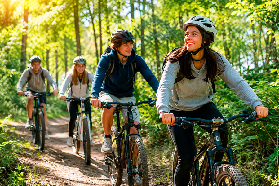 Quattro persone con il casco vanno in bicicletta lungo un sentiero boschivo illuminato dal sole, sorridendo e godendosi la vita all'aria aperta, proprio come gli studenti che scelgono di studiare in Germania liceo e vivono nuove avventure tra i vivaci paesaggi naturali della Germania.